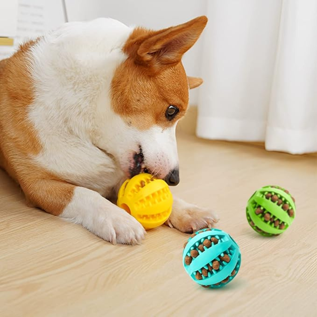 Pelota goma para mascotas