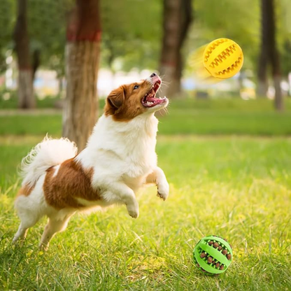 Pelota goma para mascotas